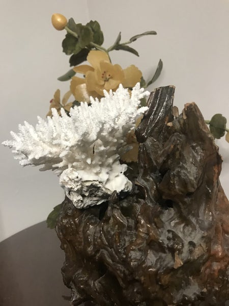 Coral Carousel 1