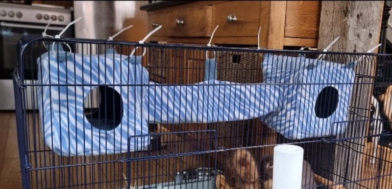 Rat Tunnel Cube - Choose your own design Carousel 2