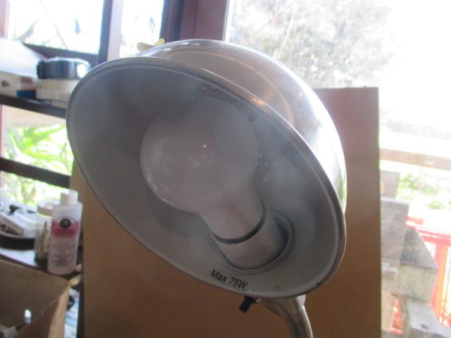 ANGLE POISE FLEXIBLE LAMP Carousel 2