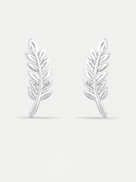 Sterling Silver Fern Stud Earrings Carousel 1