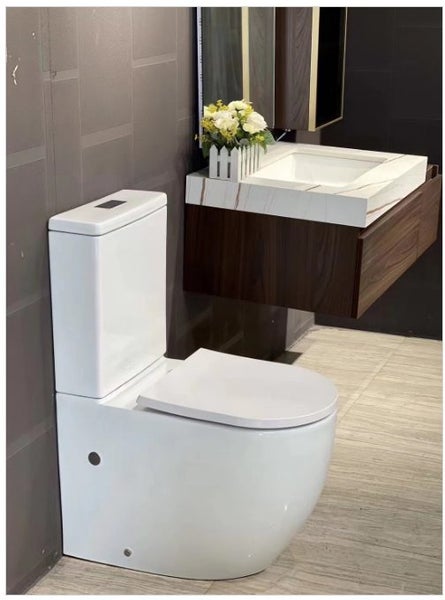 Toilet Suite T8203 Rimless flush back to wall Carousel 1