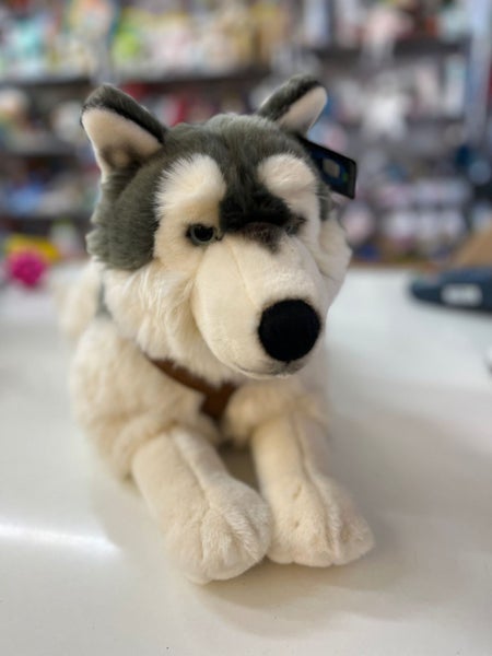 Husky XLarge with harness Carousel 1