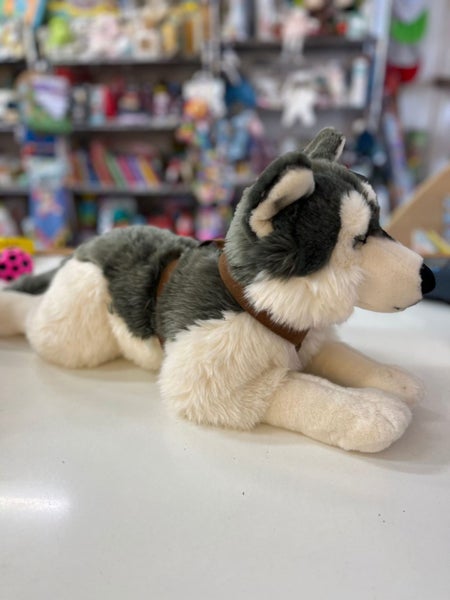 Husky XLarge with harness Carousel 2