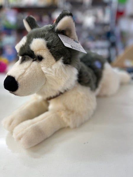 Husky XLarge with harness Carousel 3