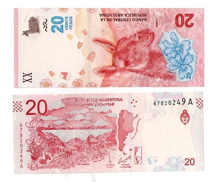ARGENTINA 20 Pesos 2017 - 20 Guanaco (Llama) banknote UNC Carousel 1