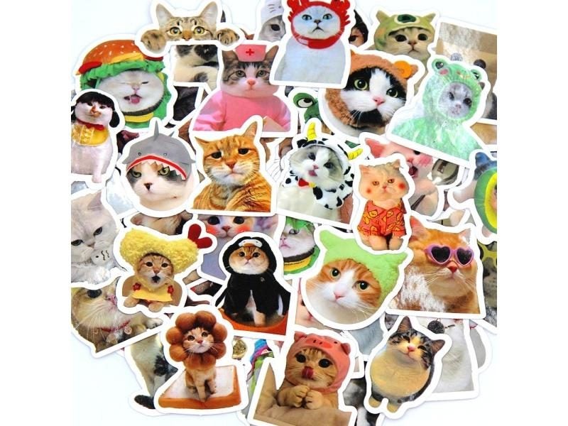 10/50/100pcs Funny Cat Cartoon Sticker For Various Items Carousel 1