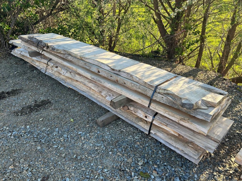 50% OFF Macrocarpa Slabs - 50mm Thick Carousel 1
