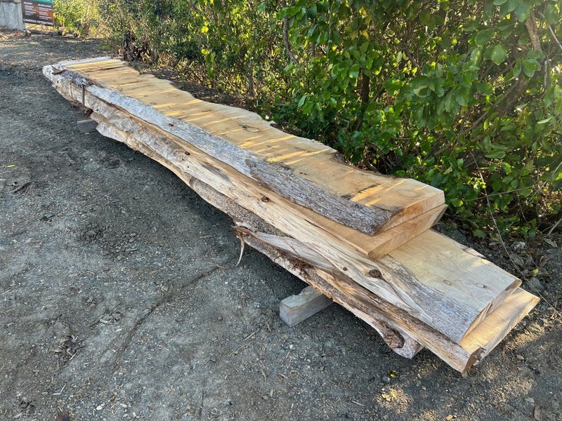 50% OFF Macrocarpa Slabs - 75mm Thick Carousel 1