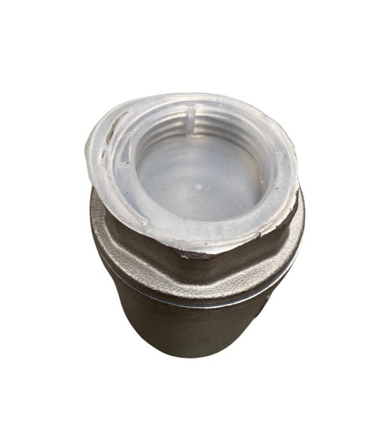 Stainless steel 1" non-return valve, pressure-resistant and corrosion-resistant. Carousel 4