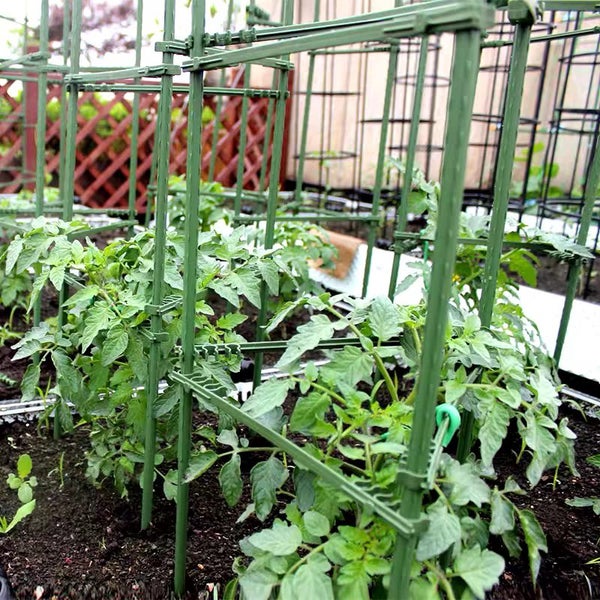 tomato plant triangle cage 1.5 M high adjustable frame climbing trainer Carousel 1