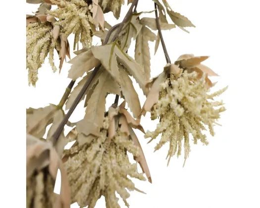 STONELEIGH & ROBERSON MILK THISTLE STEM Carousel 2