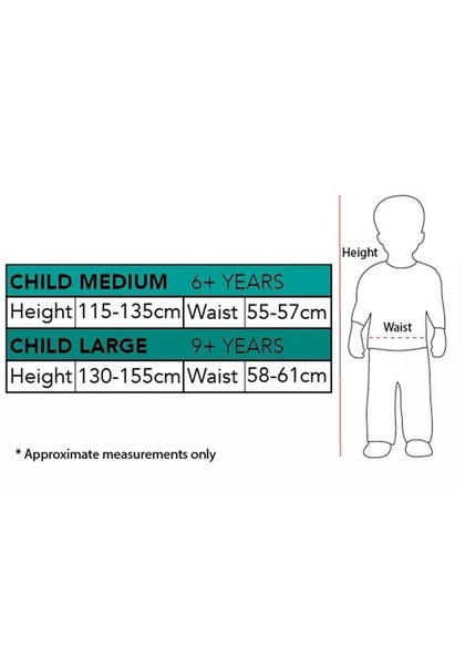 LICENSED RAVENCLAW CHILD HARRY POTTER ROBE HALLOWEEN COSTUME Carousel 2