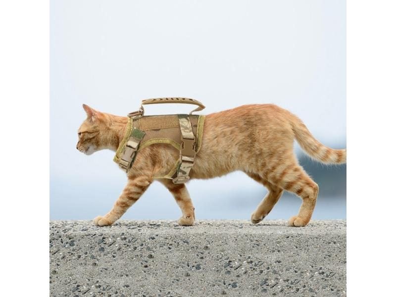 Tactical Cat Harness Leash Puppy Adjustable Kitten K9 Vest For Military Service Carousel 2