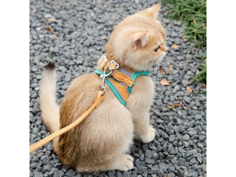 VIP Cat Harness Leash Set Carousel 2