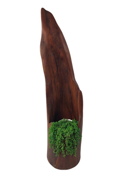 40,000 Year Old Swamp Kauri Art (18695) Carousel 2