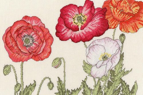 Bothy Threads Cross Stitch Kit - Poppy Blooms Carousel 1