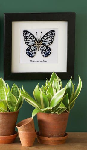 Vervaco Cross Stitch Kit - LMV Blue butterfly Carousel 2