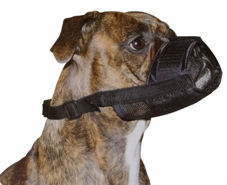 DOG MUZZLE - SMALL, MEDIUM OR LARGE Carousel 1