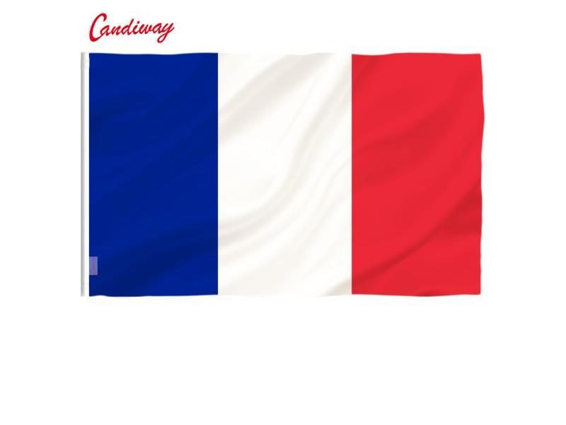 Oriflamme 3ftx2ft France Flag National Flags Super-Poly Hanging Indoor Outdoor Carousel 1