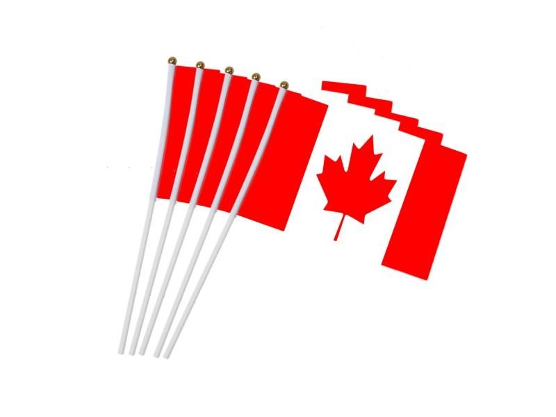 5pcs Canada Hand Waving Flag 14*21cm Canadian Small National Flags With Plastic Carousel 1