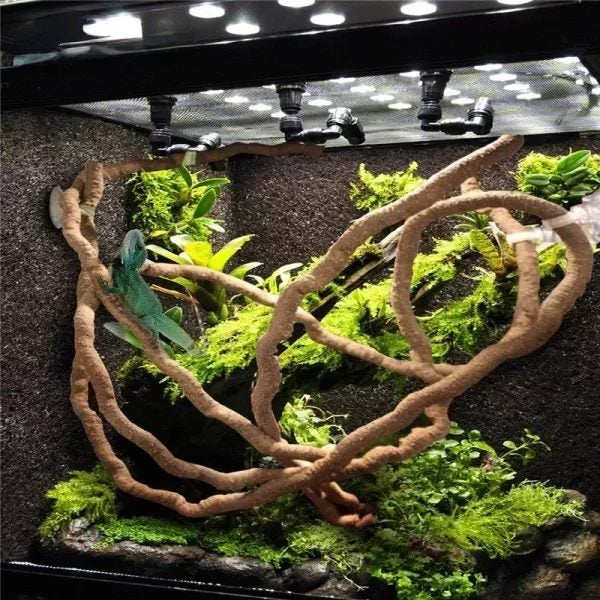 Large Flexible Vines Rattan Habitat Decoration For Reptiles Terrarium 1.5 2.5 Carousel 2
