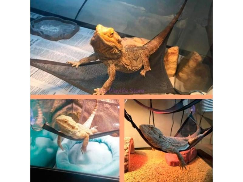 2 Pcs Pet Reptile Hammock For Snake Lizard With Suction Cup Carousel 1