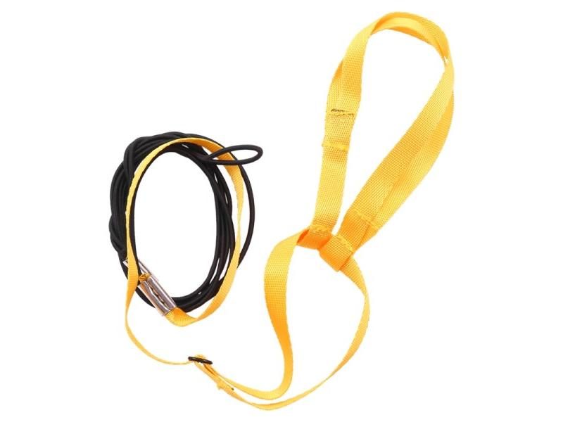 LBER Pet Bird Harness And Leash Adjustable Parrot Bird Harness Leash - Pet Carousel 1