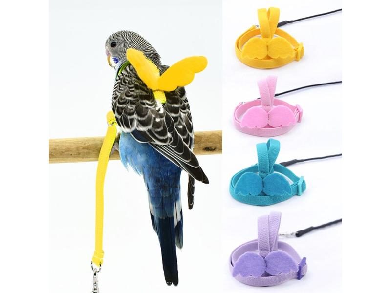 2M Adjustable Bird Parrot Harness Leash Kit Outdoor Flying Training Rope With Carousel 2