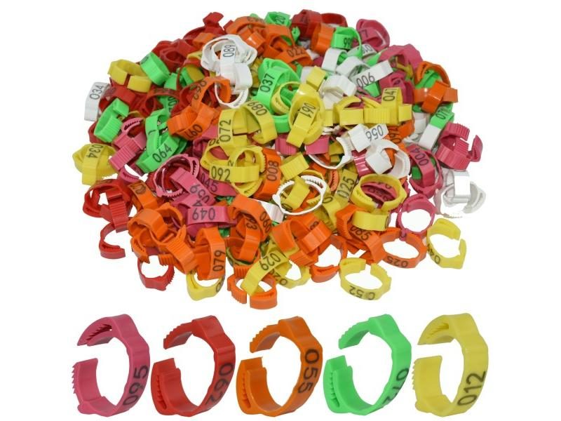 30pcs Chicken Foot Label Snap Ratchet Clip Plastic Poultry Leg Ring Buckle Carousel 2