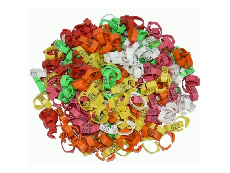 30pcs Chicken Foot Label Snap Ratchet Clip Plastic Poultry Leg Ring Buckle Carousel 1