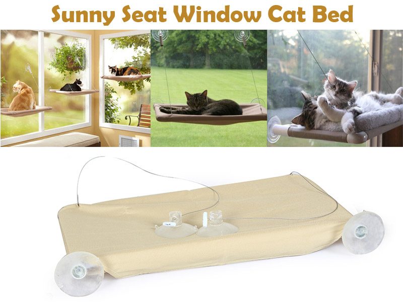 PTN NEW Cat Bed Sale Sale Sale Carousel 9