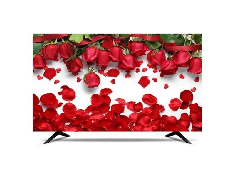 TV Cover TV Protector Carousel 1
