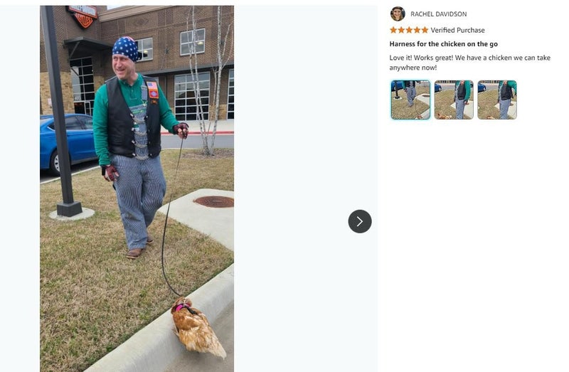 Pet Rabbits Guinea pig Chicken Adjustable Harness Leash *Local STOCK NOW* Carousel 1