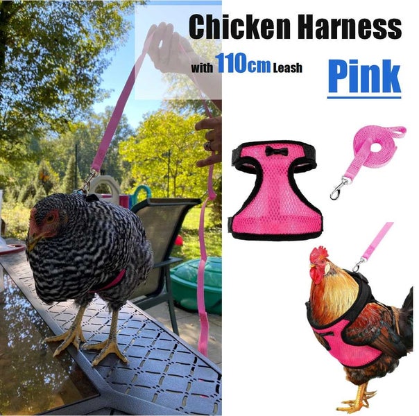 Pet Rabbits Guinea pig Chicken Adjustable Harness Leash *Local STOCK NOW* Carousel 2