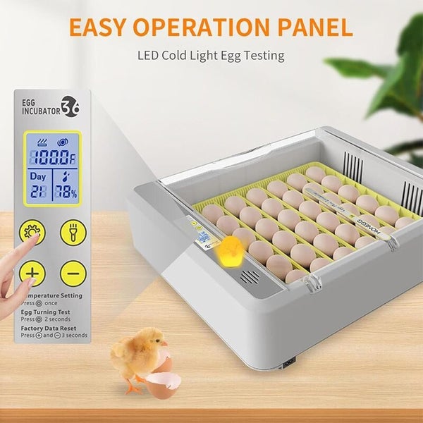 36 Egg Incubator 2016712 Carousel 1