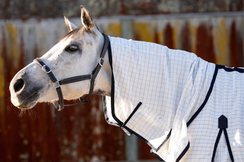 NZ Tack Summer Cotton Cooler Combo Carousel 2
