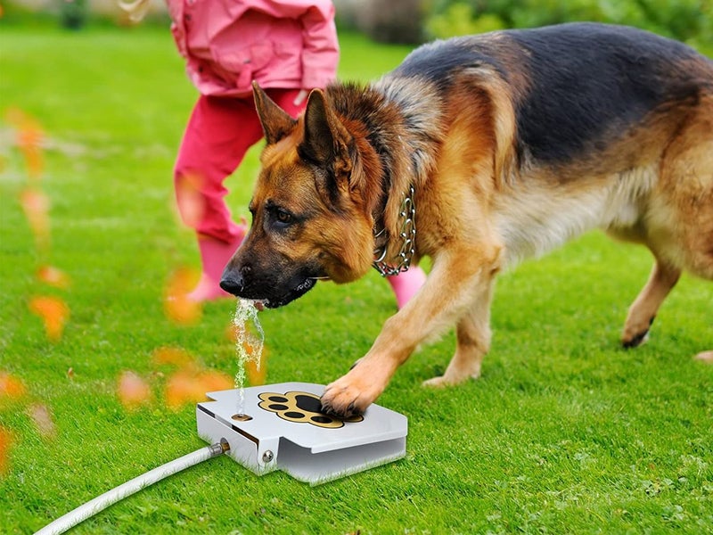 Outdoor Dog Drinking Water Fountain Step NZ Clearance Carousel 2