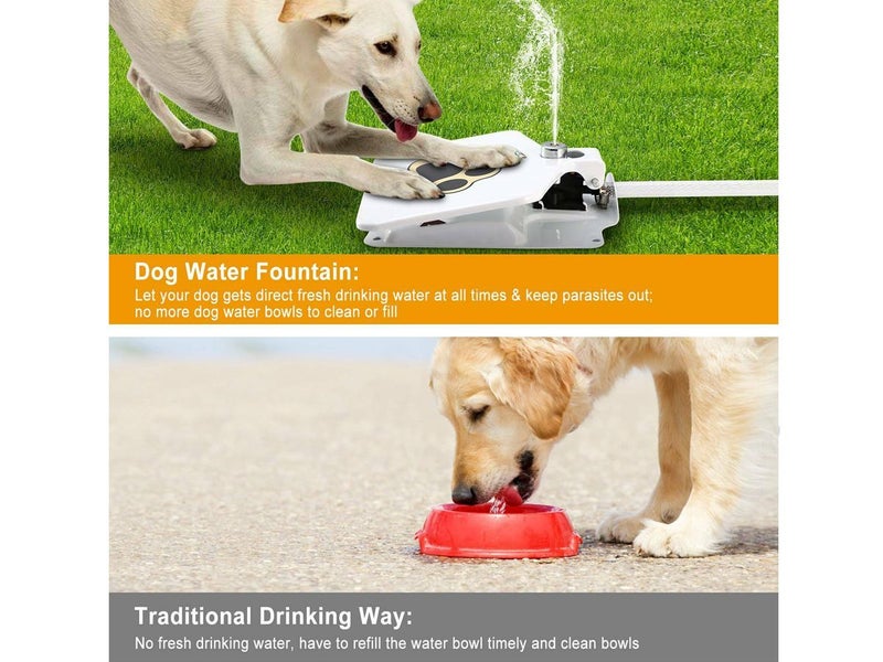 Outdoor Dog Drinking Water Fountain Step NZ Clearance Carousel 9