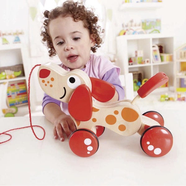Hape: Walk-A-Long Puppy Carousel 2