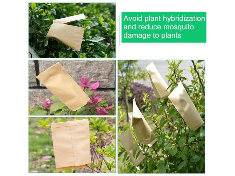 Kraft Paper Envelope Carousel 12