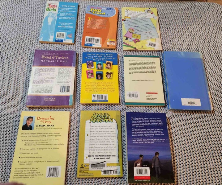 Bulk lot of chapter books - girls Carousel 3
