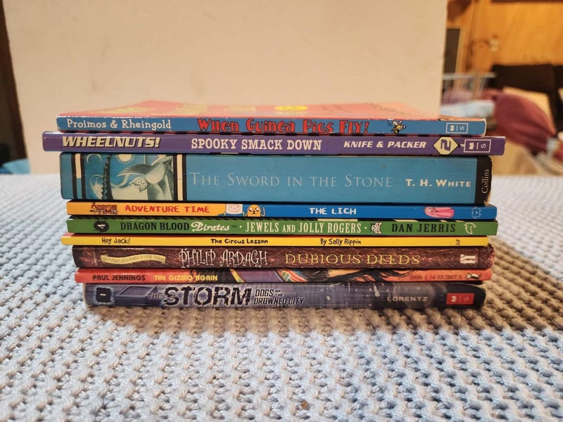 Bulk lot of chapter books - boys Carousel 3