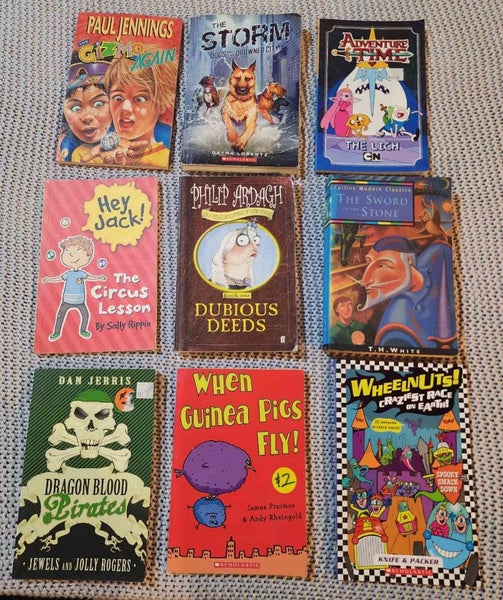 Bulk lot of chapter books - boys Carousel 1