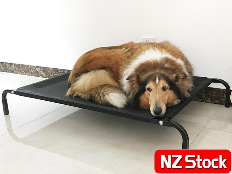 PTN NEW Dog Bed Sale Sale Carousel 2