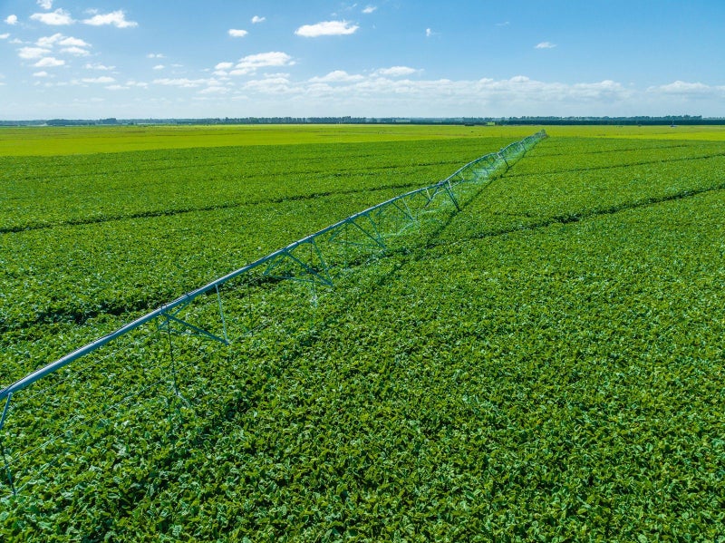 1372 South Two Chain Road, Dunsandel, Selwyn, Canterbury