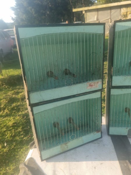 Set of 4 finch show cages Carousel 2