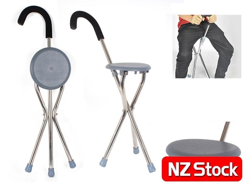 Walking Stick - Walking Stick - Walking Stick Carousel 2