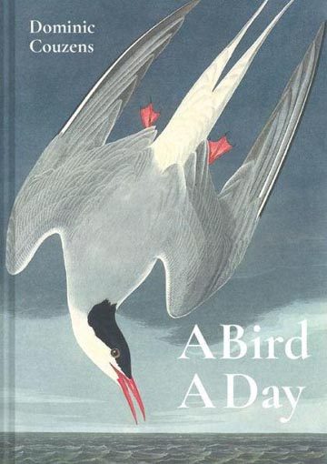 A Bird A Day Carousel 1