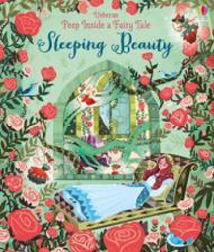 Peep Inside a Fairy Tale Sleeping Beauty Carousel 1