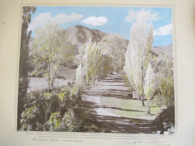ELLIS DUDGEON HAND COLOURED NELSON / MAITAI PHOTO Carousel 2